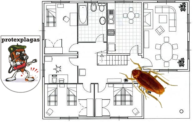 Plano de una vivienda utilizado para localizar actividad y puntos de acceso de una plaga